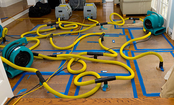 Professional Water Extraction technician working in Grant, FL